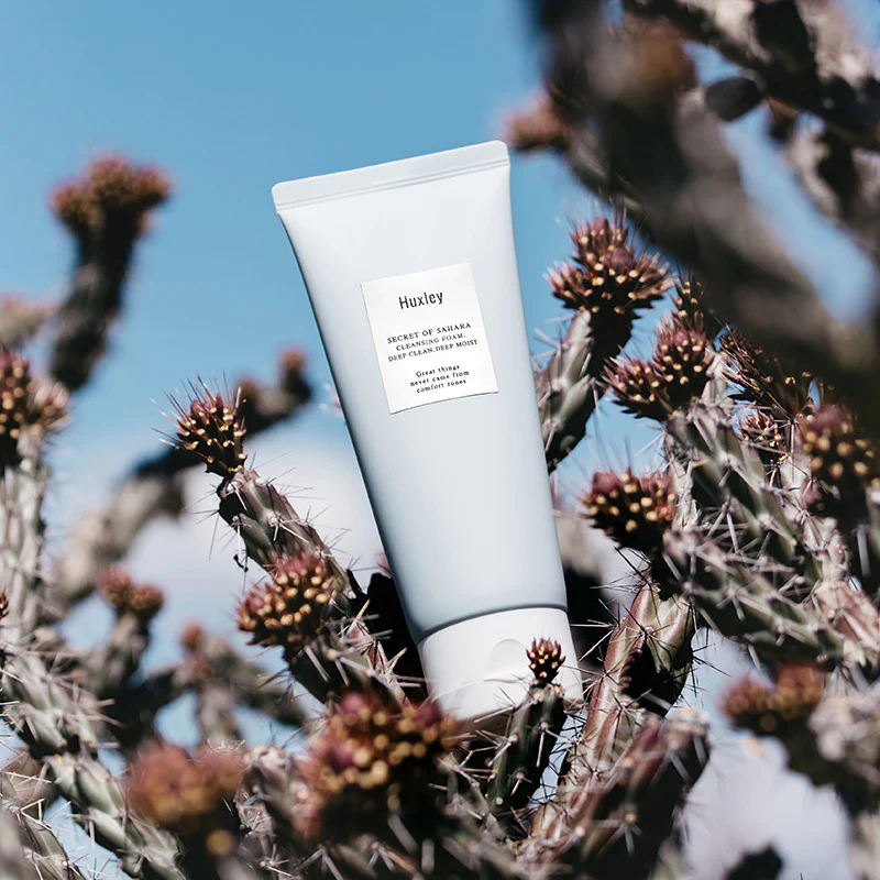 Cleansing Foam; Be Clean, Be Moist - Image 3